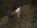 DSC03798.JPG